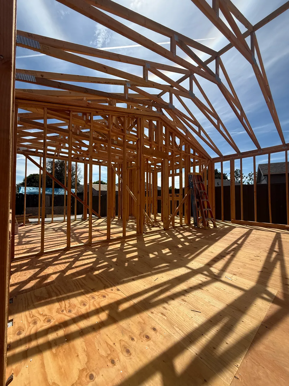 Framing — photo 8